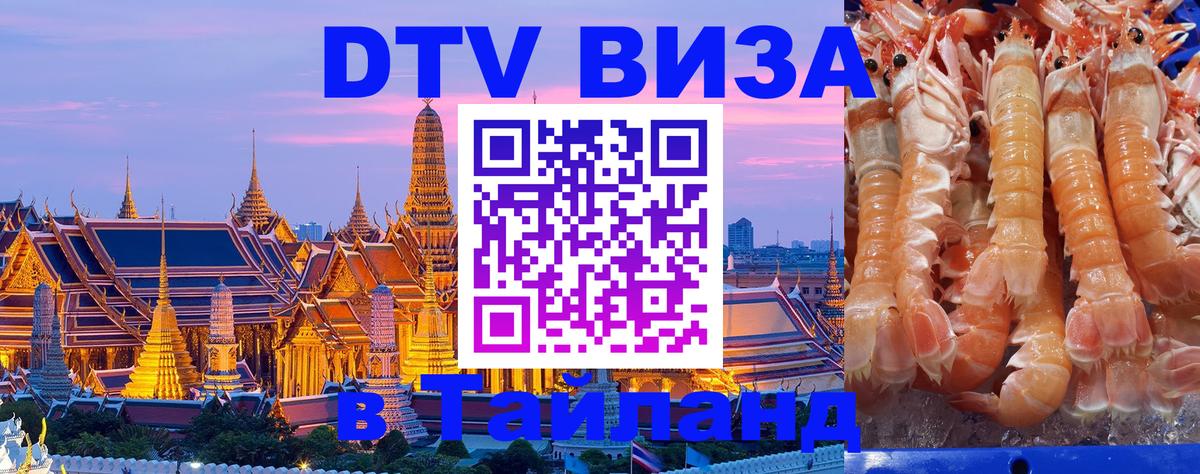 Сколько стоит DTV виза — актуальные цены, оформление даже без документов - 05.10.2025 